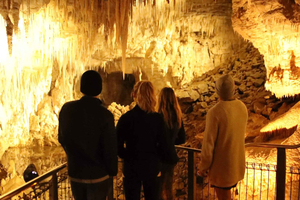 From Auckland: Waitomo Glow Worm Caves & Rotorua Tour