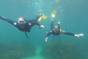 Goat Island Guided Snorkelling Tour For Advanced