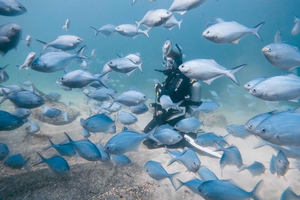 Guided Shore Dive Tour for Certified Divers