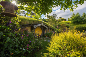 Hobbiton Movie Set Tour to Blue Springs and Waitomo caves
