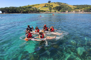 Leigh: Goat Island Clear Kayak Rental