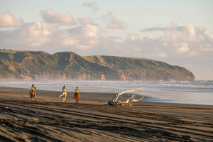 Experiencia de 2 horas de paseo a caballo por Muriwai Beach