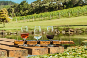 Privat omvisning – Aucklands vinregion – En smak av vesten