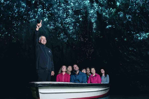 Rotorua: One-Way Trip to Auckland via Hobbiton & Waitomo