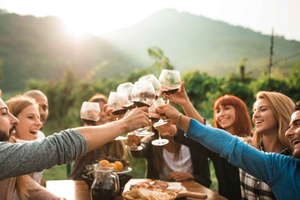 The Epic Waiheke Sundowner, Food And Wine Trip