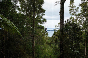 Waiheke Island Man O' War Forest Flight Zipline