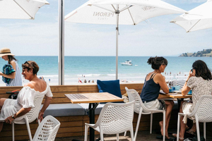 Waiheke Island: Wine Tour & Lunch at Award Winning Venue