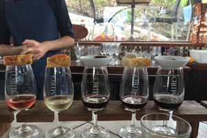Waiheke Island Wine Tours - PREMIUM Wines - Max 11 clients !