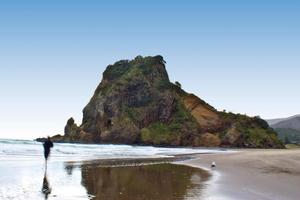 Waitakere Ranges Wilderness Experience Tour from Auckland