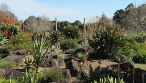 Best Things To Do Near Auckland Airport