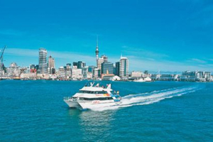 Auckland Harbour Cruise and Sky Tower Full-Day Tour