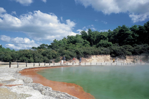 Auckland to Rotorua Private Tour