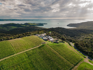 Batch Winery