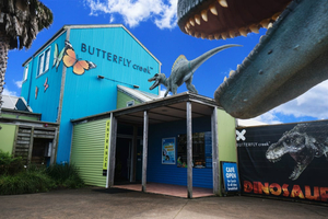 Butterfly Creek