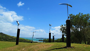 Cable Bay Vineyards