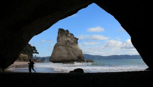 Reserva Marinha Te Whanganui-A-Hei (Catedral Cove)
