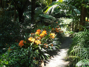 Eden Garden