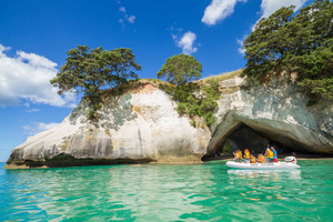 From  Coromandel and Cathedral Cove Tour