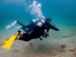 Best Wet Weather Activities In Auckland