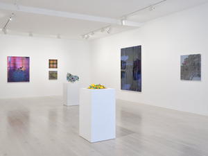Gow Langsford Gallery    