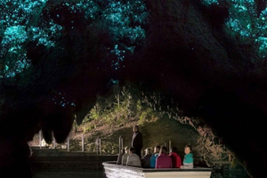 Hobbiton & Waitomo Caves Private Day Tour from Auckland