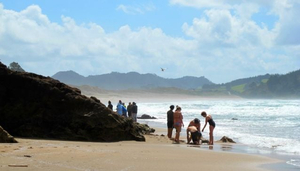Hot Water Beach
