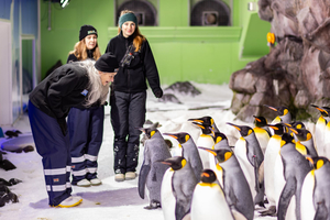 Kelly Tarlton's SEA LIFE Aquarium