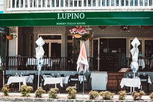 Lupino