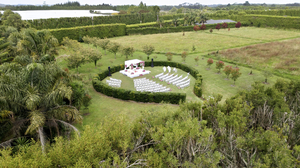 Markovina Vineyard Estate