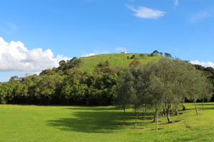 Mt Cambria Reserve