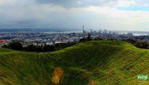 Free Things To Do In Auckland