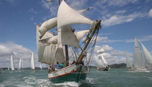 New Zealand Maritim Museum Seglingar