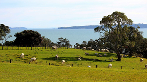 Omana Regional Park