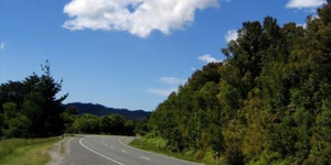 Omega Car Rentals