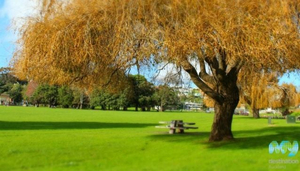 Orakei Domain