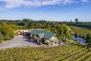 Paihia or Kerikeri: Wine, Spirit, & Craft Beer Tour