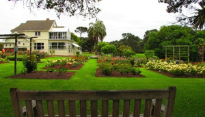 Dove Myer Robinson Park  (Parnell Rose Gardens)