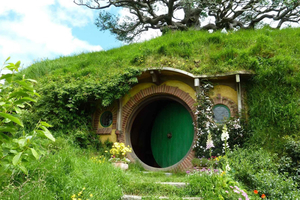 Private Hobbiton Movie Set & Hunua Falls Tour from Auckland