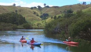 Location de kayak sur la rivière Puhoi