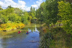 Puhoi River Kayak Experience