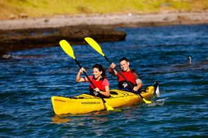Rangitoto Island Tours