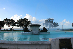 Selwyn Domain