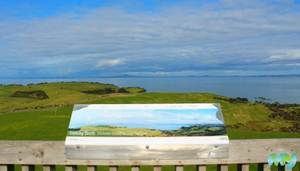 Best Auckland Parks To Visit