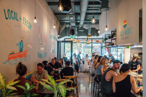 Taco Medic Ponsonby