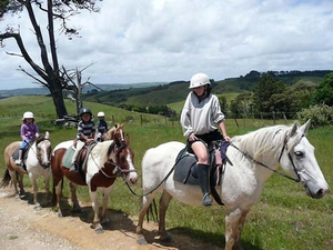 Tasman Pferdetreks