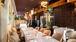 Best Wine Bars In Auckland