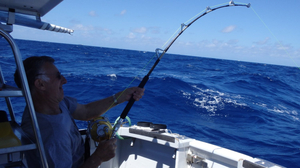 The Serious Fishing Company