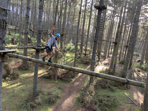 Tree Adventures