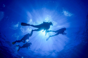 Waiheke Island PADI Discover Scuba Experience