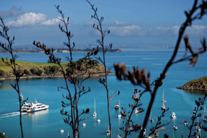 Waiheke Island Twilight Wine & Dine Tour with Ferry